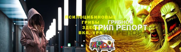 ешки Белокуриха